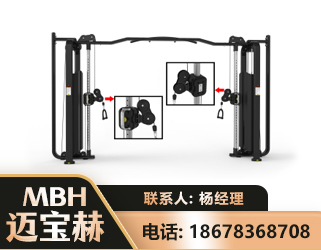 绍兴大飞鸟训练器